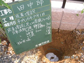 �Y���̂悤���@�c���@