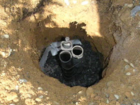 �Y���̂悤���@�c���@