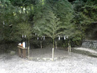 ���C�����{�ł̒Y���̗l�q