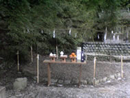 ���C�����{�ł̒Y���̗l�q