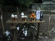 ���C�����{�ł̒Y���̗l�q