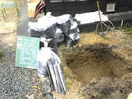 ���C�����{�ł̒Y���̗l�q