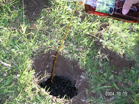 ���ؒ|�Y�[�����с@�N���u�n�E�X�ƃX�^�W�A���Ɏg�p5