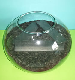 ���@�̂��񂬂�΂�