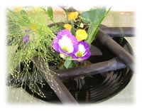 ���ؒ|�Y�̓C���e���A�ɂ��œK�ł�